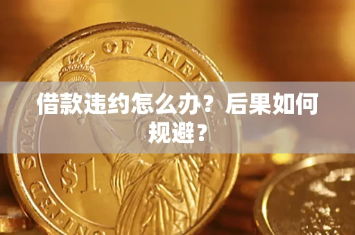 武汉借款违约怎么办？后果如何规避？