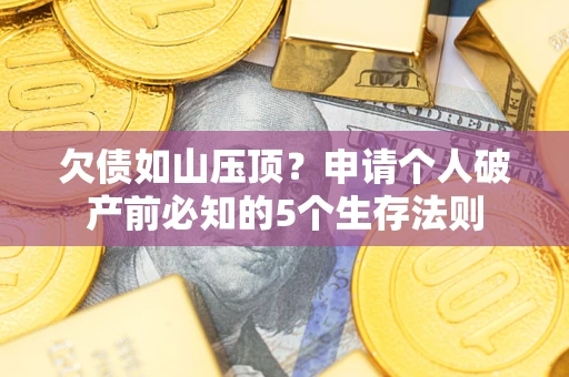 武汉欠债如山压顶？申请个人破产前必知的5个生存法则