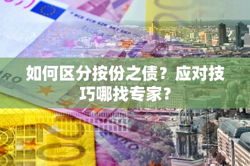 武汉如何区分按份之债？应对技巧哪找专家？